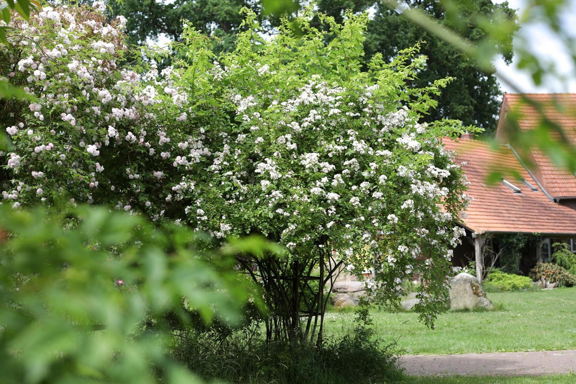 Готель Sophienhof Achternholt Wardenburg Екстер'єр фото